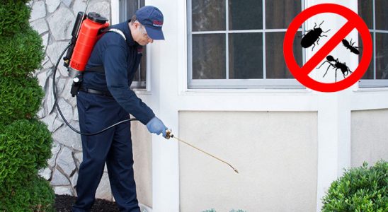 Nurhak Dezenfeksiyon böcek ilaçlama ve haşere kontrolü — ilaclama-tr.com